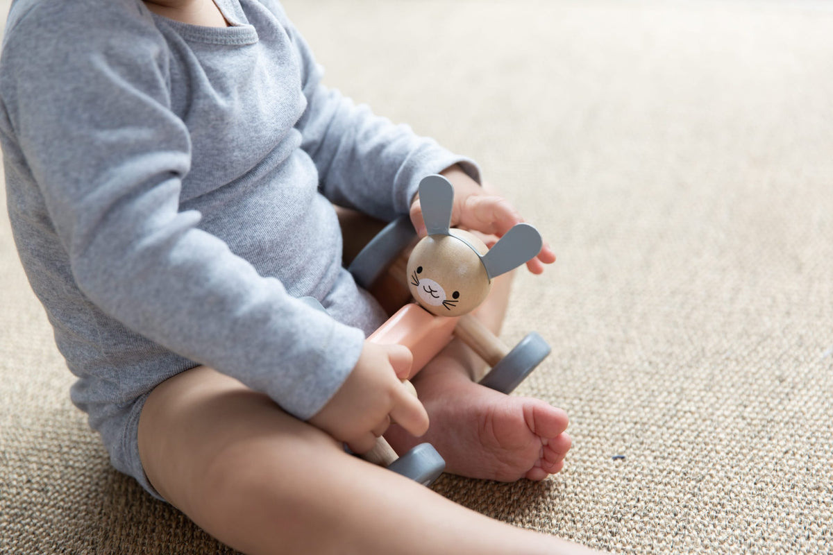 Plan toys bunny racer top